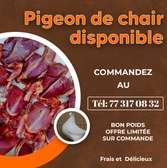 Viande de pigeon