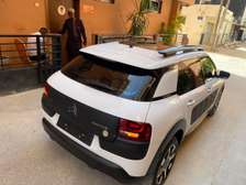C4 cactus