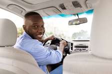 Chauffeur professionnel