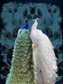 Paon bleu et blanc