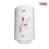 CHAUFFE EAU ROCH 100LITRES