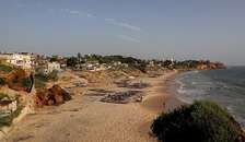 Ref_5110_GL Terrain à vendre à Sendou / Rufisque