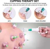 Ventouse Chinoise Biomagnétique, Thérapie