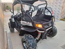 Buggy Cf 650 2places