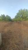 Verger 1 hectare et demi à Toubacouta -Foundioune