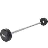 Haltère fixe longue 30kg