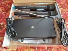 Bose BS-206 - Système de radio avec 2 microphones