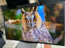 55 LG 4k smart tv disponible authentiques