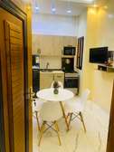 MINI STUDIO MEUBLE MERMOZ (à partir de 10 jours de location)