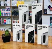 Samsung Galaxy A17 256Go