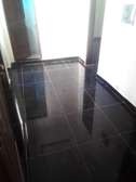 Appartement 300m2 aux  Mamelles