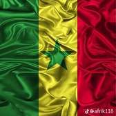 Drapeau Sénégal en soie 90x60 cm couleurs vives