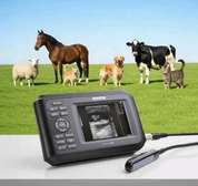 Echo vétérinaire portable