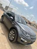 Land Rover Discovery Sport SUV Gris Automatique