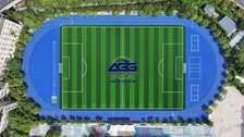 Gazon football fifa