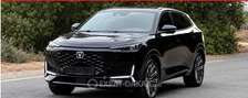 Changan 2025