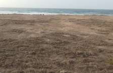 TERRAIN 3002 m²  PIEDS DANS L'EAU ALMADIES