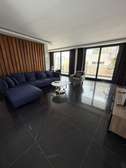 Appartement meublé à louer point e