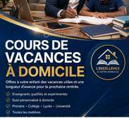COURS DE VACANCES PROGRAMME FRANÇAIS À DOMICILE OU EN LIGNE