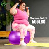 Ballon gym 500 lbs violet antidérapant taille standard