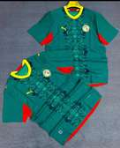 Maillot sénégal pour le mondial