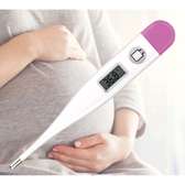 Thermomètre Digital Électronique LCD