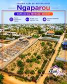 Terrain à vendre allée des Milliardaires, Ngaparou