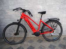 bicyclette electrique minerva