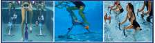 AQUABIKES & LANABIKES DE WATERFLEX