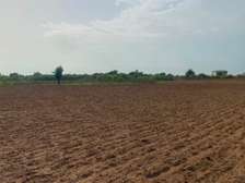 CHAMPS 2 Hectares à Vendre à Sangué (Thiès)