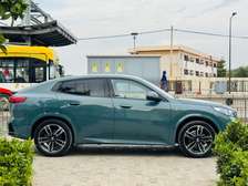 BWM X2 année 2025