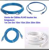 câble rj45 internet original