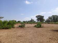 Terrain Agricole de 21,05 Hectares vers Thiénaba – Thiès