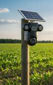 Caméra de surveillance solaire marque calus