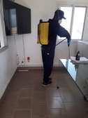 SERVICE DESINFECTION - DERATISATION - LUTTE ANTIPARASITE