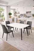 Table a manger 4 chaises