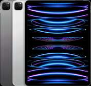 iPad pro 11 pouces 4e génération