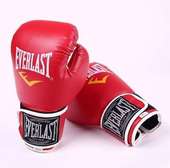 Everlast Gants de boxe Professionnel