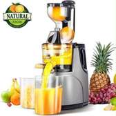 Naturale Juicer extracteur de jus lent 1,2L argenté