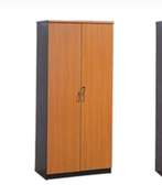 Armoire de rangement 2 portes