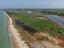 Terrain TF a vendre a mbodiene