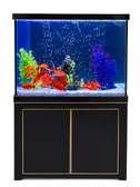 Aquarium