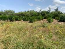 Hectare à vendre à Mboro
