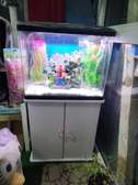 Aquarium complet multicolore avec 4 poissons