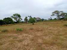 Terrain Agricole de 4.300 m² vers Tassette – Thiès