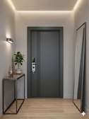 PORTE BLINDÉES POUR ENTRÉE APPART