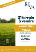 TERRAIN DE 981m2 À VENDRE