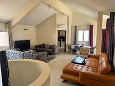 Très grand appartement entièrement meublé au plateau