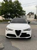 Alfa Romeo Stelvio Full option sport
