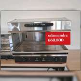 Salamandre professionnel